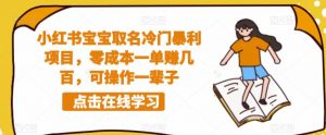 小红书宝宝取名冷门暴利项目,零成本一单赚几百,可操作一辈子-最全项目网