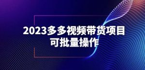 2023多多视频带货项目,可批量操作【保姆级教学】【揭秘】-最全项目网