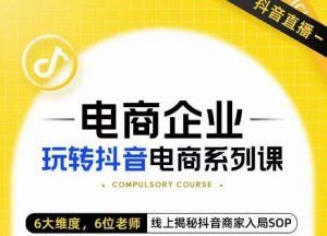 玺承·电商企业玩转抖音电商系列课,6大维度,6位老师,线上揭秘抖音商家入局SOP-最全项目网