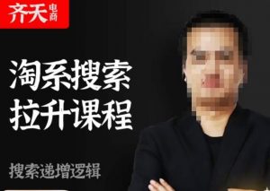 齐天电商·淘系搜索提升课程，​搜索递增标准化，动销标准化流程-最全项目网