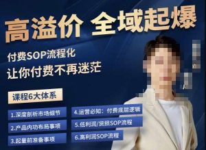 逸风-拼多多高溢价全域起爆，6大课程体系，付费玩法全套实操-最全项目网