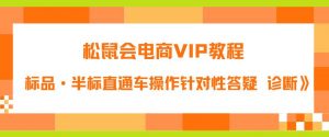 松鼠会电商VIP教程:松鼠《付费推广标品·半标直通车操作针对性答疑&诊断》-最全项目网
