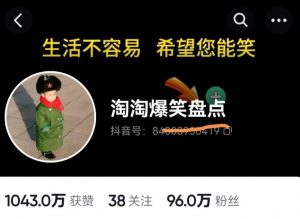 价值1000的搞笑盘点大V淘淘爆笑盘点详细课程+软件,中视频变现-最全项目网