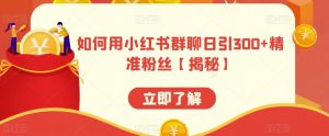如何用小红书群聊日引300+精准粉丝【揭秘】-最全项目网