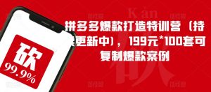 拼多多爆款打造特训营（持续更新中)，199元*100套可复制爆款案例-最全项目网