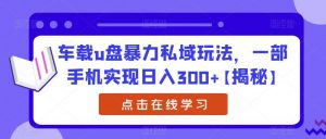 车载u盘暴力私域玩法,一部手机实现日入300+【揭秘】-最全项目网