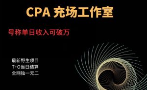 cpa充场工作室,号称单日收入10000+(揭秘)-最全项目网