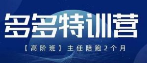 纪主任·5月最新多多特训营高阶班,玩法落地实操,多多全掌握-最全项目网