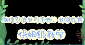 微信互推圈半自动引流方案,矩阵操作日引千人思路【详细视频教程】-最全项目网