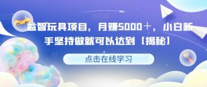 益智玩具项目,月赚5000+,小白新手坚持做就可以达到【揭秘】-最全项目网