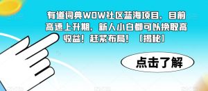 有道词典WOW社区蓝海项目,目前高速上升期,新人小白都可以换取高收益!赶紧布局!【揭秘】-最全项目网