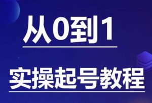石野·小白起号实操教程,掌握各种起号的玩法技术,了解流量的核心-最全项目网