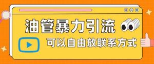 油管暴力引流,可以自由放联系方式【揭秘】-最全项目网