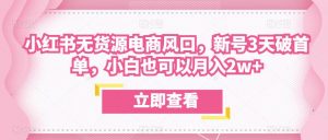 众狼电商余文小红书无货源电商风口,新号3天破首单,小白也可以月入2w+-最全项目网