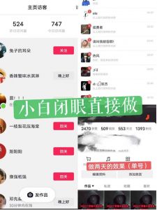 一天做完别一辈子的视频制作最近很火的《1000个野路子信息差》100%过原创【揭秘】-最全项目网