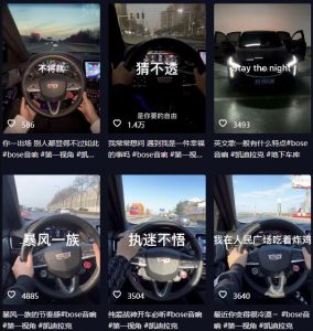 抖音开车视频项目，0基础操作，每天五分钟，月入1W+【揭秘】-最全项目网