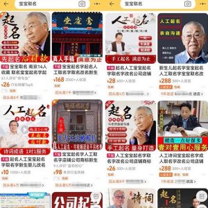 拆解小红书宝宝起名虚拟副业项目,一条龙实操玩法分享给你(教程+软件)-最全项目网