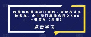 超简单的蓝海冷门项目,变现方式多种多样,小白无门槛操作日入500+很简单【揭秘】-最全项目网