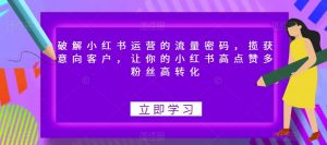破解小红书运营的流量密码,揽获意向客户,让你的小红书高点赞多粉丝高转化-最全项目网