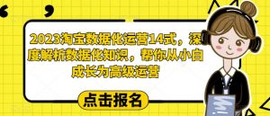 2023淘宝数据化运营14式,深度解析数据化知识,帮你从小白成长为高级运营-最全项目网