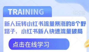 新人玩转小红书流量暴涨的8个野路子，小红书新人快速流量破局-最全项目网