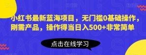 小红书最新蓝海项目,无门槛0基础操作,刚需产品,操作得当日入500+非常简单【揭秘】-最全项目网