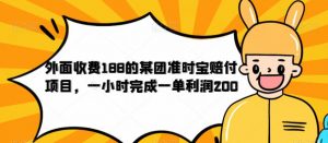 外面收费188的美团准时宝赔付项目,一小时完成一单利润200【仅揭秘】-最全项目网