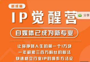树成林·IP觉醒营,快速树立行业IP的操作方法论,让你赚到人生的第一个1万块(更新)-最全项目网