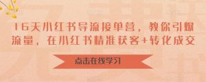 16天小红书导流接单营,教你引爆流量,在小红书精准获客+转化成交-最全项目网