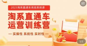 冠东·2023淘系直通车高级系统课,实操性,系统性,实时性,直通车完整体系教学-最全项目网
