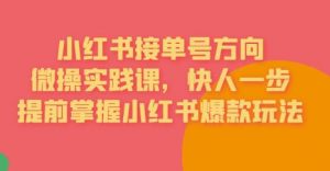接单号方向·小红书微操实践课,快人一步,提前掌握小红书爆款玩法-最全项目网