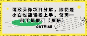 漫改头像项目分解,即使是小白也能轻松上手,仅需一部手机即可【揭秘】-最全项目网