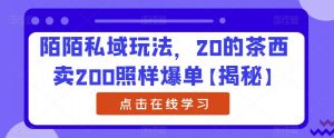陌陌私域玩法,20的茶西卖200照样爆单【揭秘】-最全项目网