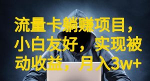 流量卡躺赚项目,小白友好,开设后台,实现被动收益,只要出卡,就能一直赚钱,利润高昂【揭秘】-最全项目网