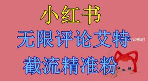 小红书无限评论艾特截流精准粉(软件+教程)-最全项目网
