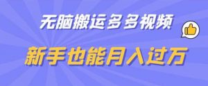 无脑搬运多多视频,新手也能月入过万【揭秘】-最全项目网