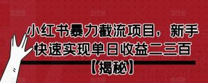 小红书暴力截流项目,新手快速实现单日收益二三百【仅揭秘】-最全项目网