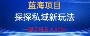 蓝海项目,探探私域新玩法,一部手机日入500+很轻松【揭秘】-最全项目网