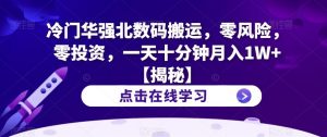 冷门华强北数码搬运,零风险,零投资,一天十分钟月入1W+【揭秘】-最全项目网
