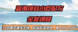 蓝海项目小吃配方全套课程,小白看完直接实操,单人日入1000+【揭秘】-最全项目网