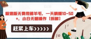 极速版无费用薅羊毛，一天躺赚10-50+，小白无脑操作【拆解】-最全项目网