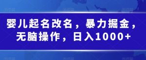 婴儿起名改名,暴力掘金,无脑操作,日入1000+【揭秘】-最全项目网