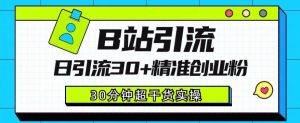 B站引流日引流30+精准创业粉,超详细B站引流创业粉玩法【揭秘】-最全项目网