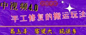 中视频4.0赛道：新手福音，一小时制作，三天过计划，7天看效果【揭秘】-最全项目网