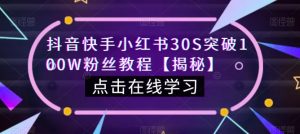 抖音快手小红书30S突破100W粉丝教程【揭秘】-最全项目网
