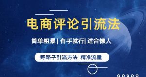 简单粗暴野路子引流-电商平台评论引流大法,适合懒人有手就行【揭秘】-最全项目网