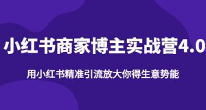 【推荐】小红书商家博主精准引流实战营4.0,用小红书放大你的生意势能-最全项目网
