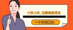 十秒钟上手,一个小时60元暴利无脑调研项目【揭秘】-最全项目网