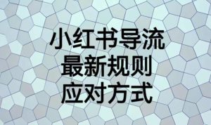 小红书导流最新规则应对方式【揭秘】-最全项目网