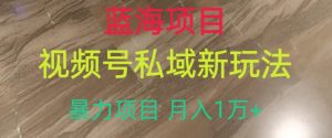蓝海项目,视频号私域新玩法,暴力项目月入1万+【揭秘】-最全项目网